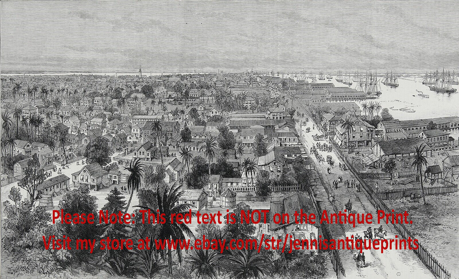 Guyana Demerara Demerary Georgetown Panoramic View, Large 1880s Antique Print
