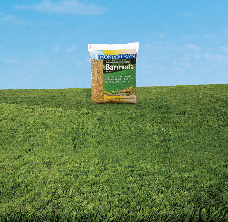 Barenbrug 10057 Wonderlawn Bermuda Full Sun Shade Lawn Seed Blend 1 lbs.