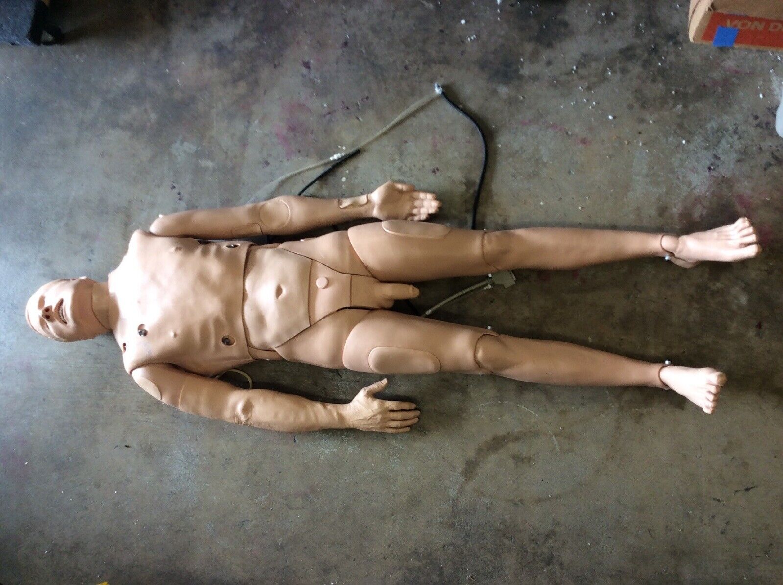 LAERDAL MEGACODE KELLY NURSING ADULT FULL BODY MANIKIN CPR INTUBATION AIRWAY