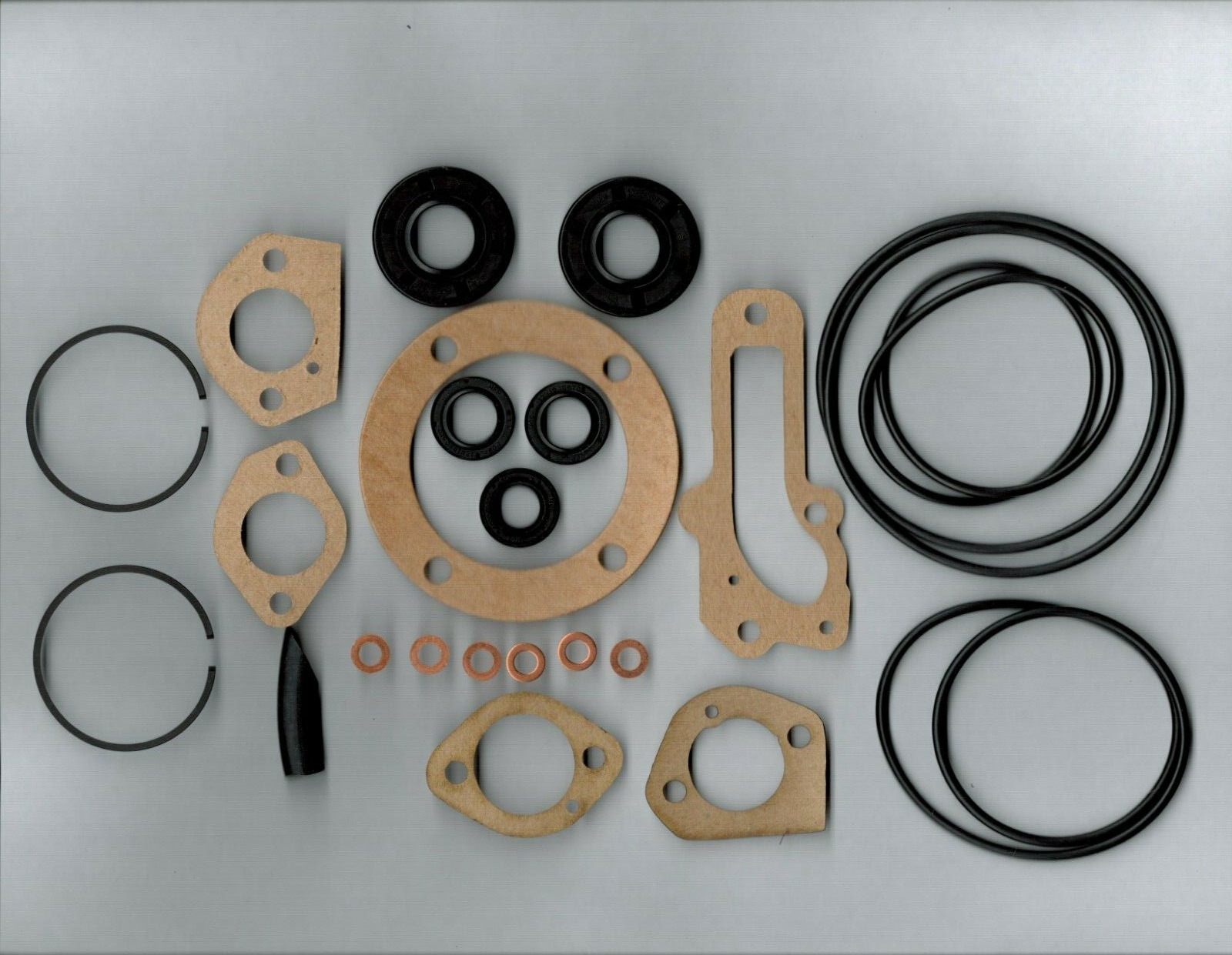 Aquascooter Rebuild Kit With Piston Rings and Seals Fits AS-400 450 500 600 650
