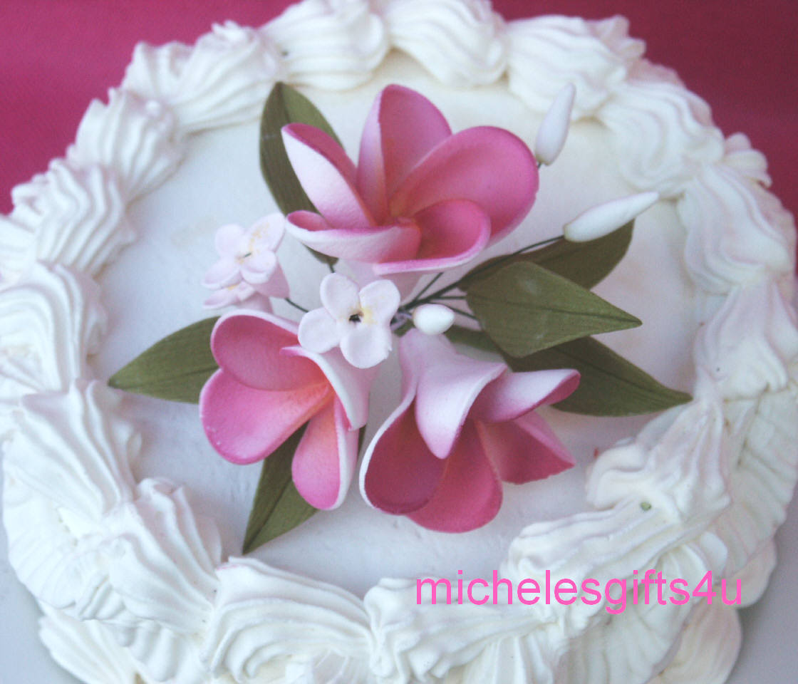 Sugar Gum Paste Hot Pink Plumeria Hawaiian Stephanotis Cake Decorating Flowers