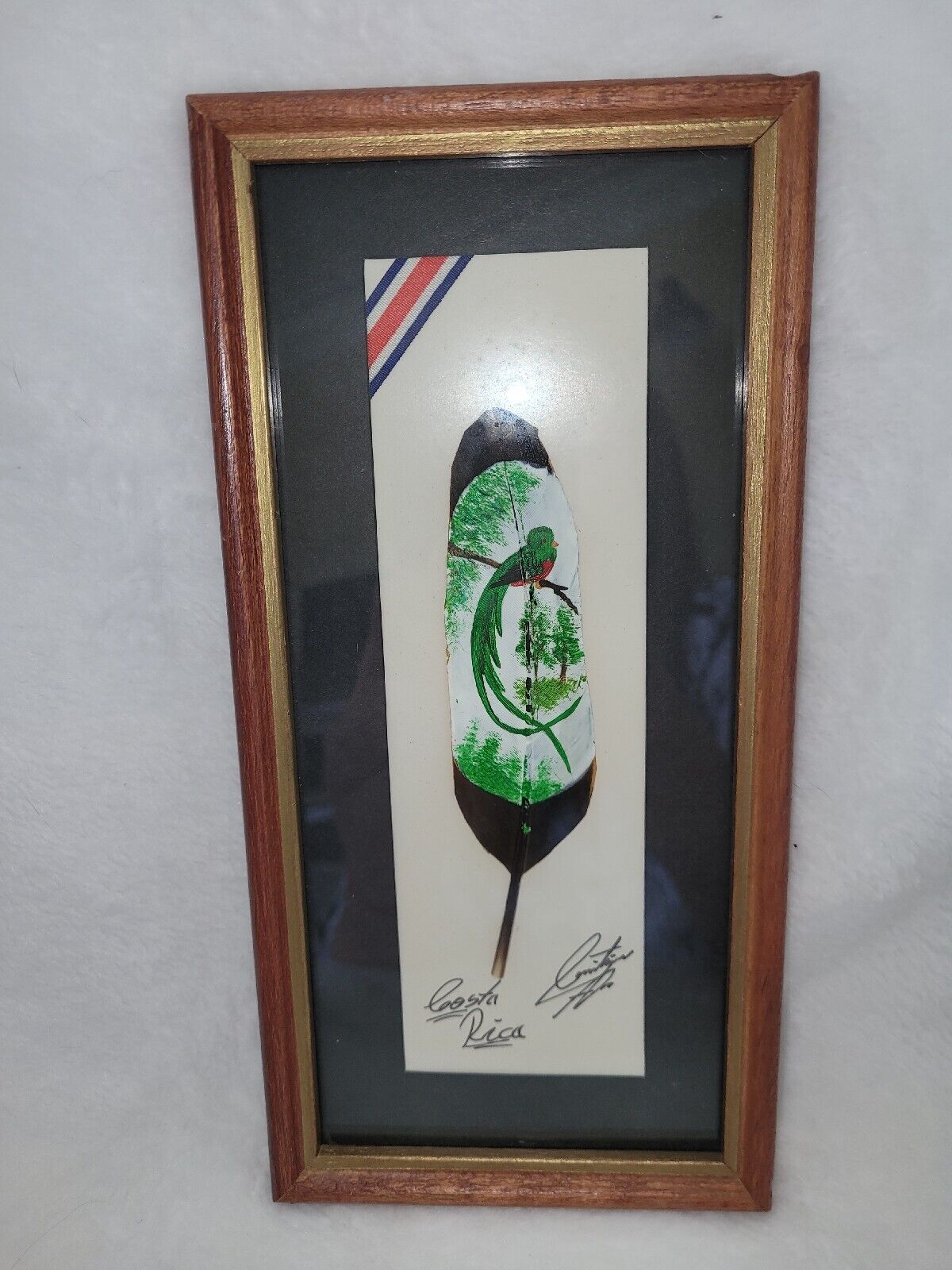 Feather Framed Art Costa Rica Signed Peacock Bird Tropical painting Wall Hanging