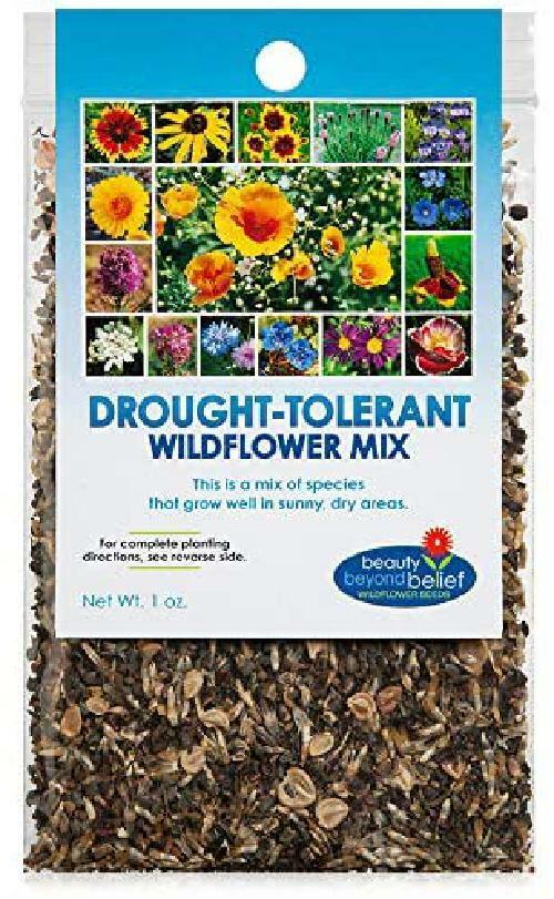 Drought Resistant Tolerant Wildflower Seeds Open-Pollinated Bulk Flower Seed Mix